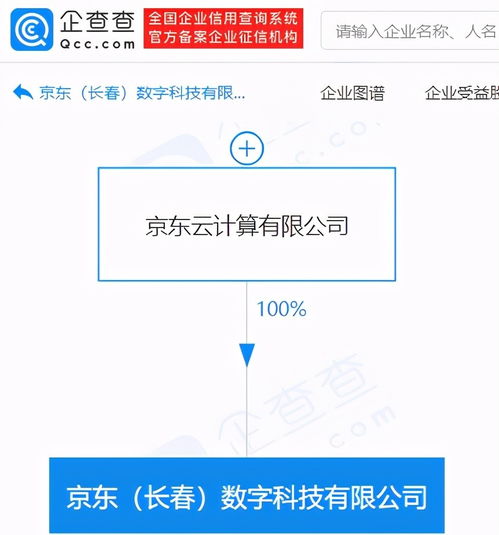 基础软件服务 数字化时代的基石与创新引擎